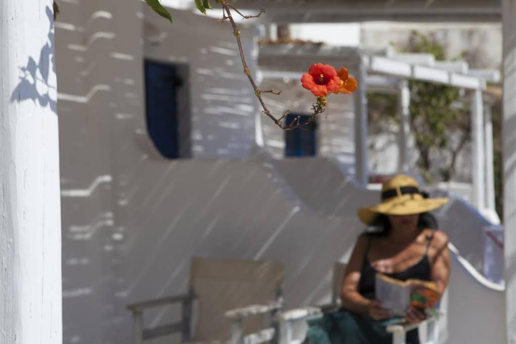 Ostria Studios & Apartments Αλυκή Εξωτερικό φωτογραφία